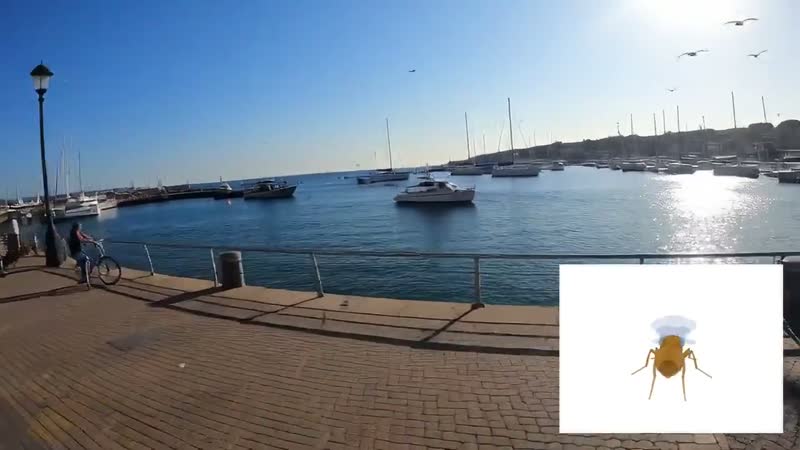 Odyssey-3 fly demo, frame 1: open water and a marina promenade rendered like drone footage; the fruit-fly avatar rides in the white inset card on the right. (Video frame: @odysseyml, Oct 17 2026)
