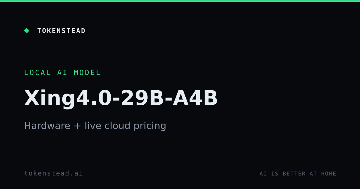 Xing4.0-29B-A4B